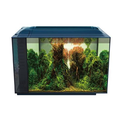 Corydoras 55 Nano Akvaryum Siyah 55,5 x 29,5 x 32 Cm