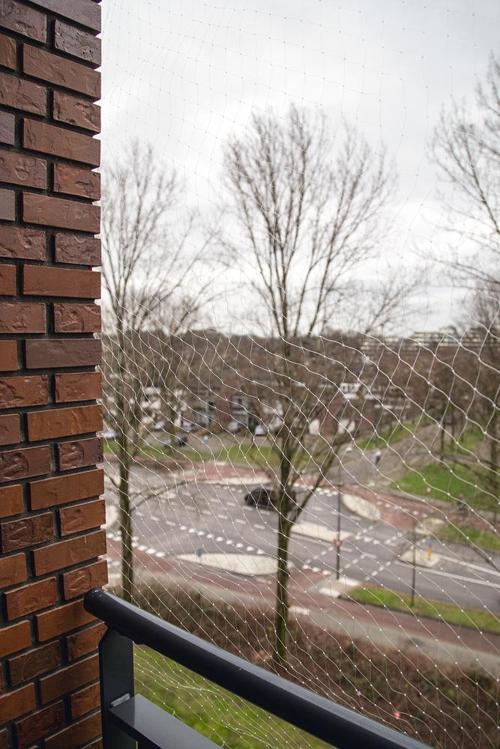 Kedi Pencere veya Balkon Koruma Filesi, Şeffaf, 4x3m