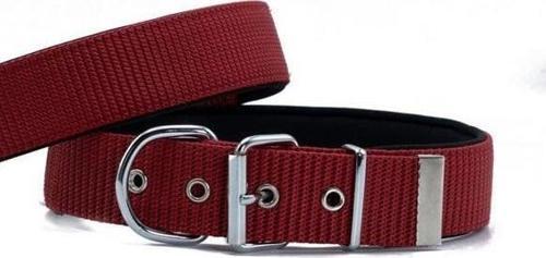 Konfor Dokuma Köpek Boyun Tasması Small Kırmızı 5x50-60 Cm