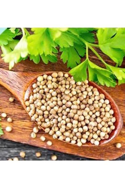 Kişniş (Aşotu) Tohumu 250 Gr