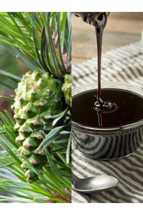 Çam Kozalağı Pekmezi 800 Gr