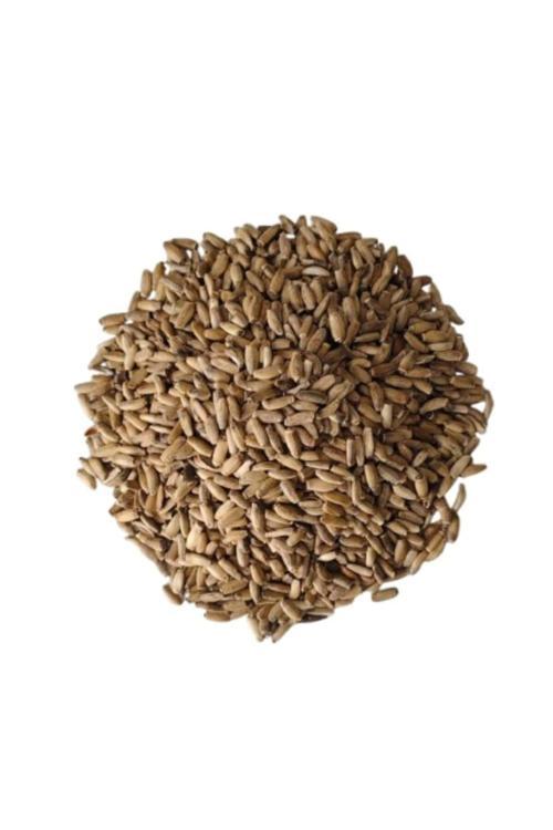 Kenger (Yabani Enginar) Tohumu 250 Gr