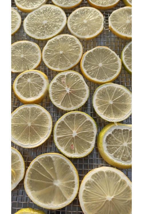 Limon Kurusu 100 Gr