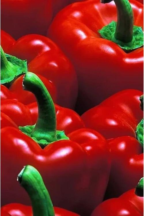 Gün Kurusu El Yapımı Tatlı Biber Salçası 1500 Gr