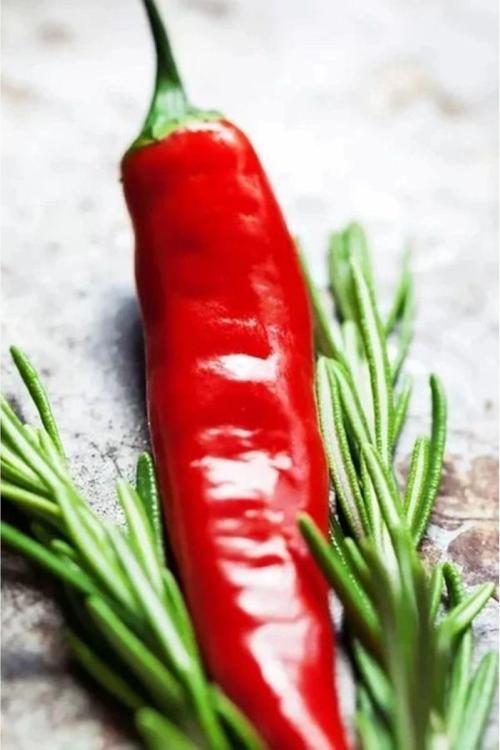 Gün Kurusu El Yapımı Acı Biber Salçası 1500 Gr