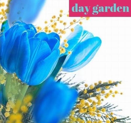 25 ADET MAVİ RENK LALE ÇİÇEĞİ TOHUMU + 10 ADET HEDİYE KARIŞIK GÜL ÇİÇEK TOHUMU