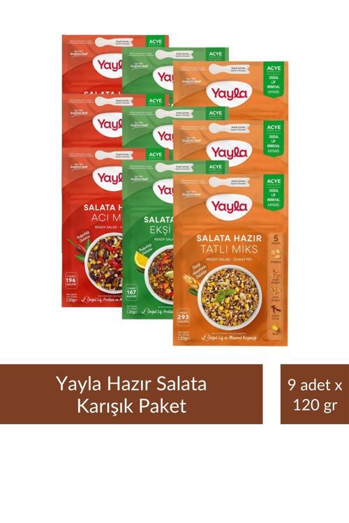 Salata Miks Karışık Paket 1 - 120 gr x 9 Adet