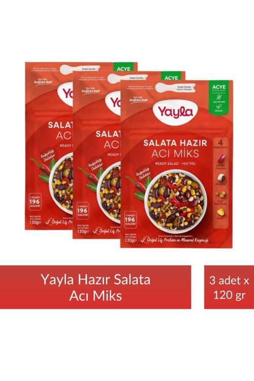 Salata Hazır Acı Miks 120 gr x 3 Adet