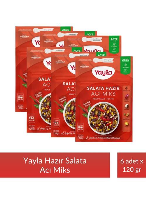 Salata Hazır Acı Miks 120 gr x 6 Adet