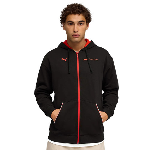 F1 Essential+ Fullzip Hoodie Erkek Fermuarlı Sweatshirt 63265301