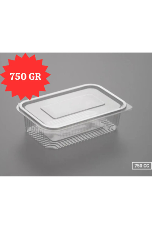 Plastik Saklama Kabı 750 Gr 25 Adet Kapaklı Sızdırmaz Kap Şeffaf Kullan At Kase