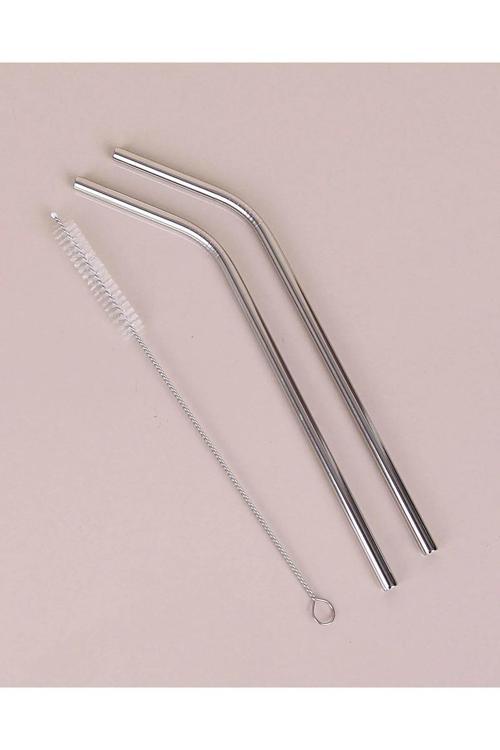 2'Li Paslanmaz Çelik Pipet, Temizleme Fırçası, Metal Pipet