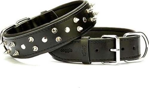 Comfort Deri Çivili Köpek Boyun Tasması Small Siyah 4x47-55 Cm