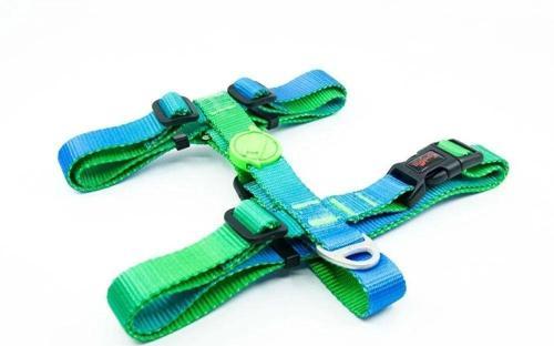 Amazon Desenli Köpek Göğüs Tasması Xsmall 20-34x23-38 Cm