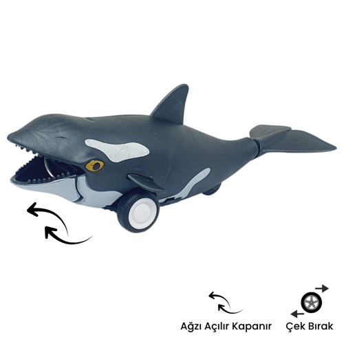 Sürtmeli Hayvanlar Serisi - H-53 - Orka Balina