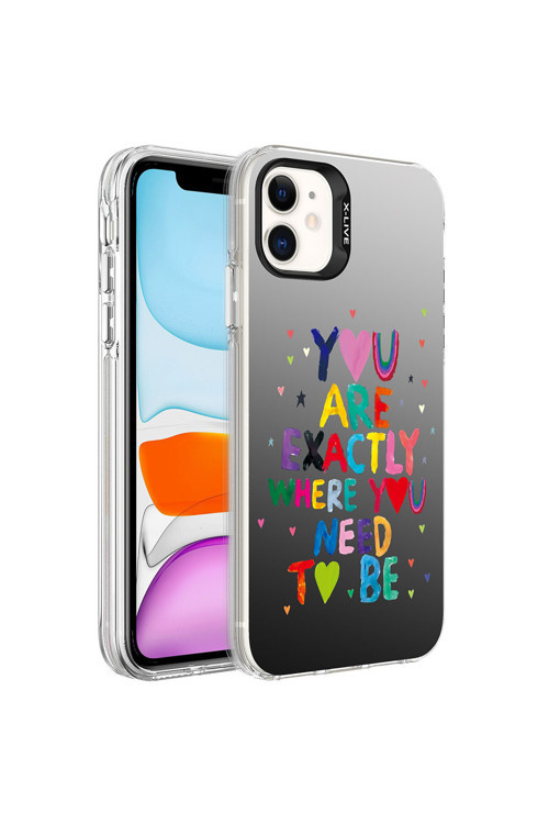 İphone 12 Uyumlu Desenli Silver Sert Kılıf-You