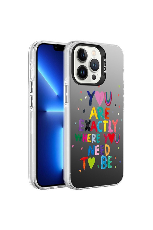 İphone 13 Pro Uyumlu Desenli Silver Sert Kılıf-You