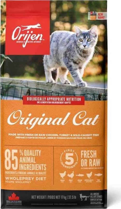 Cat Kitten Yavru Kedi Maması 17 Kg - KONG