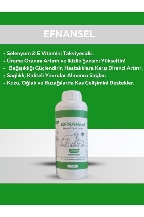 Selenyum A-D-E Vitamini Takviyesi