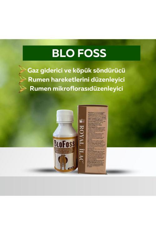 Blofoss 100 Ml