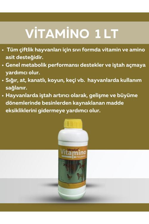 Ideal Vitamino Premiks 1 Lt