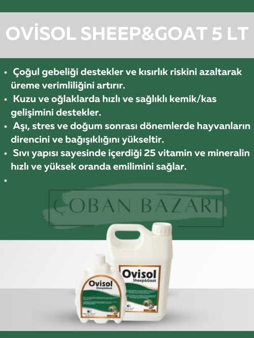 Ovisol Sheep&Goat 5 Lt