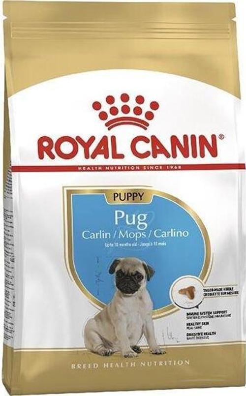 Pug Junior Yavru Köpek Maması 1,5 Kg - KONG