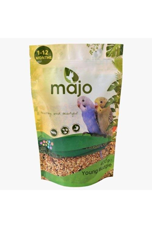 Yavru Muhabbet Kuşu Tam Yem