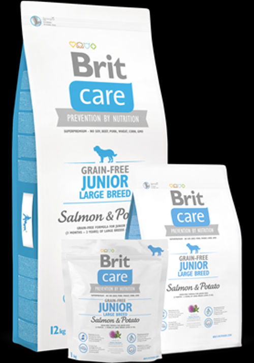 Büyük Irk Yavru Köpekler İçin Somon Balıklı ve Patatesli Tahılsız Mama 12 kg