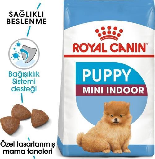 Mini Indoor Puppy 1,5 Kg