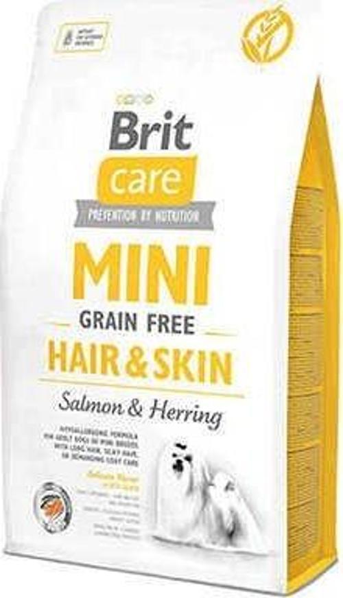 Mini Hair Skin Somonlu Tahılsız Küçük Irk Köpek Maması 2 Kg-KONG