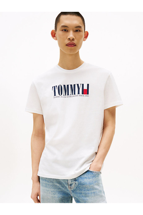 Tjm Reg Tommy Dna Flag Tee Ext