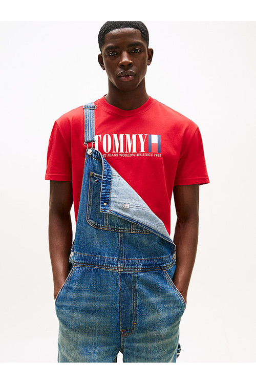 Tjm Reg Tommy Dna Flag Tee Ext