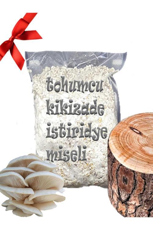 Kavak Ağacı Mantarı Tohumu Miseli 5Kg Yeni Misel Istiridye Mantarı ( Rehber Hediyeli ) Kayın,Kavak