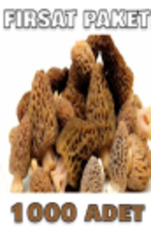 +1000 Adet Kuzu Göbeği Mantarı Tohumu 1000 Adetlik Süper Fırsat Paketi