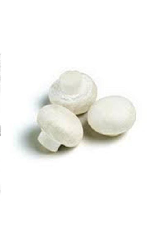 5 Kg Kültür Mantarı Tohumu + 10 Lt Activatör Gübre Hediyeli + 6 Sayfa Ekim Kılavuzu