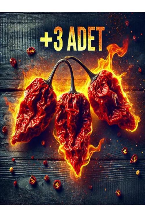 Bhut Jolokia Dünya'Nın En Acı 2 Nci Biberi Kurutulmuş Biber 3 Adet