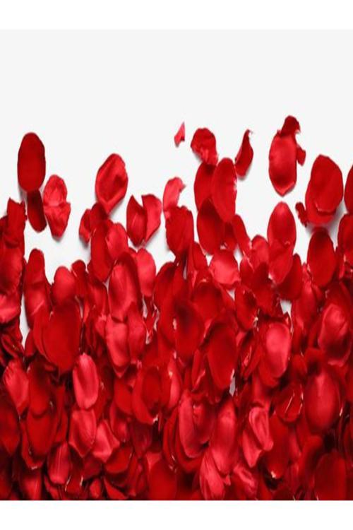 +250 Adet Kırmızı Gül Yaprağı