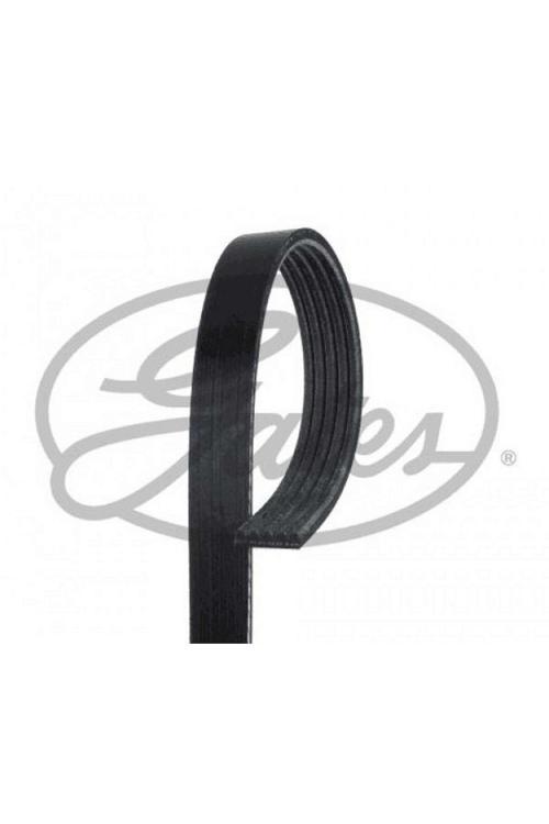 Kanallı Kayış Audı A6-A8-Logan-Hyundaı-Pajero-Almera-Mıcra-Clıo Iı-Iıı-Kng 1.5 Dcı-Mgn Iı-Mod Rszyn