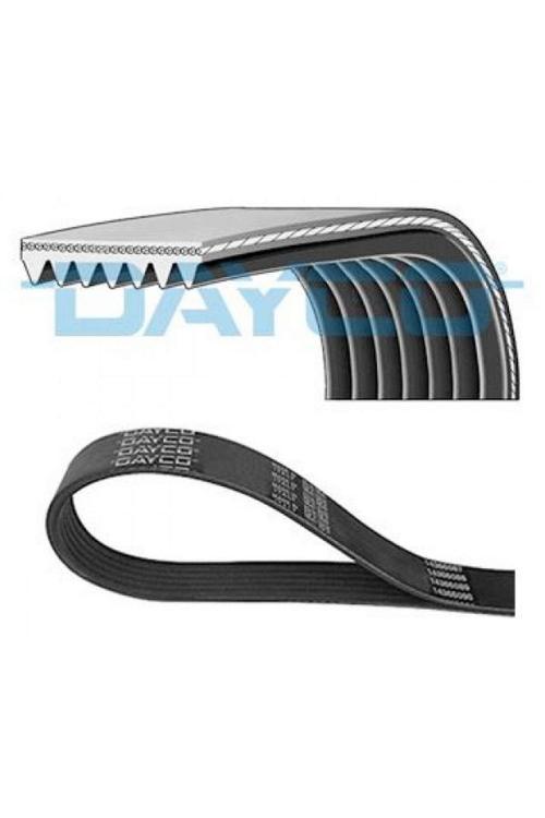 Kanallı Kayıs Mercedes Alfa Romeo Lancıa Nıssan Opel Renault Toyota Gnzrz