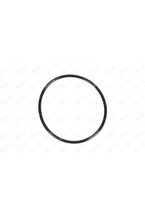 Yakıt Pompa Contası Vectra B 1.6-1.8-2.0 96-02