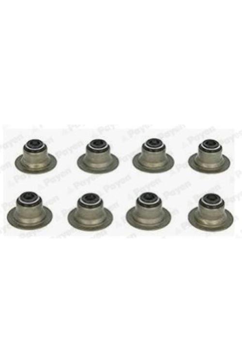 Subap Lastiği Set Rover 200 220Gsi 220T 420 620 820 2.0 Dıscovery 2.0 93-98