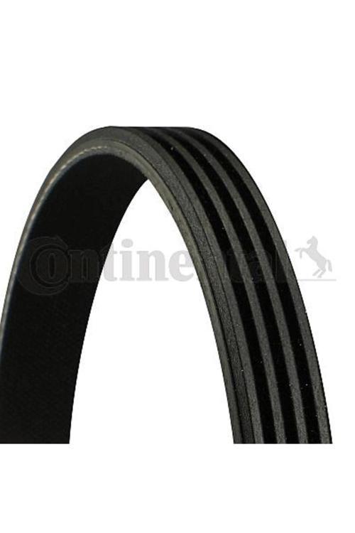 Contınental 4Pk925 Kanallı Kayış Tempra Tıpo-Clıo 1.2 00 Kng Twng Fıat Bm Bm