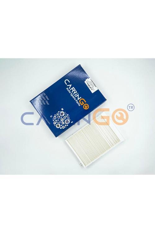 Polen Filtresi Renault: Megane Iı