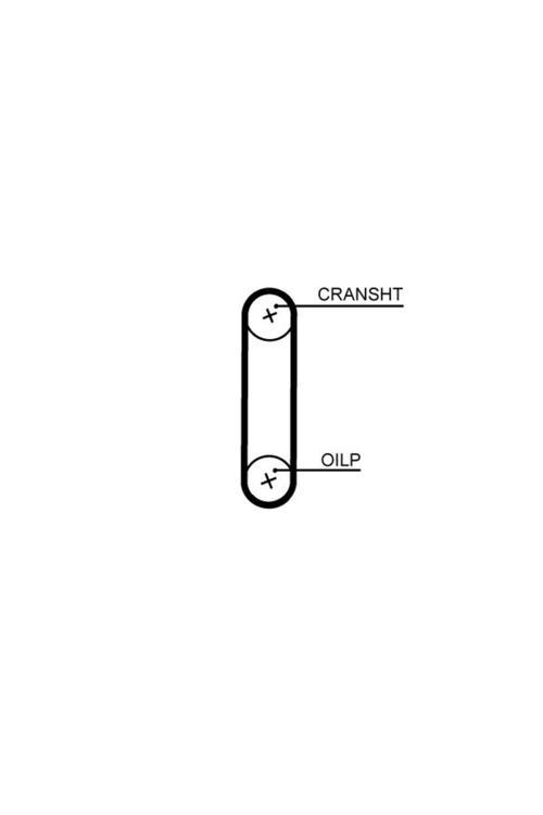 Yağ Pompa Kayışı Polo-Golf7-Jetta-Passat-Crafter-A3-A4-Leon 2013 > 1.6-2.0Tdı