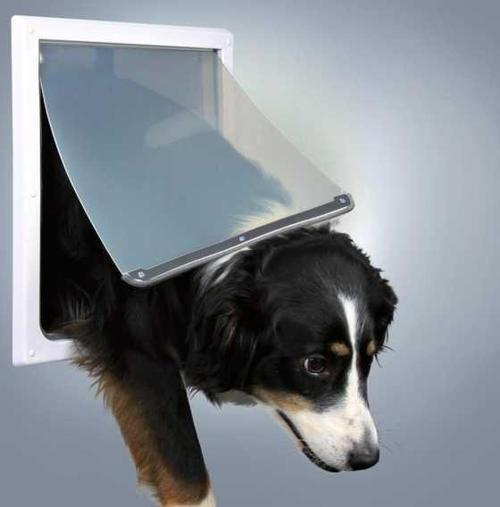 Köpek Kapısı M-XL 2 Yönlü Beyaz