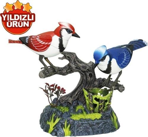 Oyuncak Kalemlikli Müzik Kuş Sesli Hareketli 2'li Kuşlar