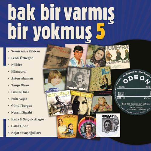 Bak Bir Varmış Bir Yokmuş Vol.5 (Plak)  