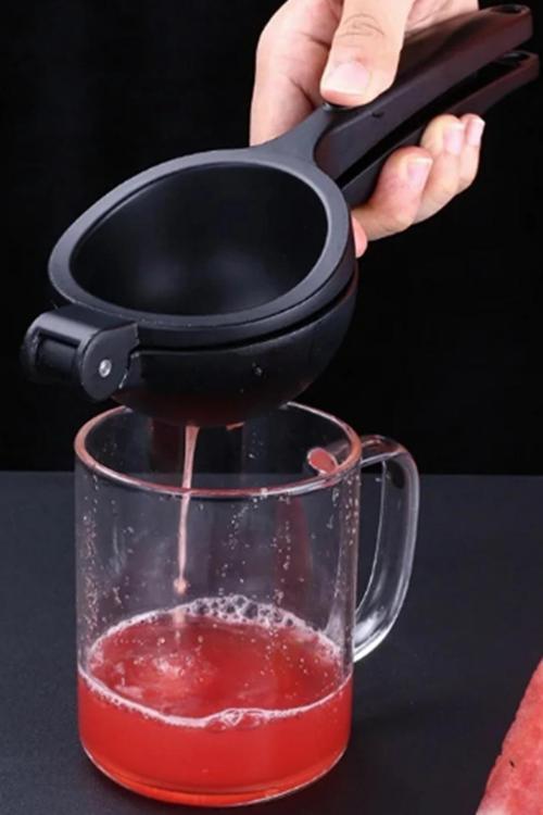 Portakal Limon Narenciye Sıkacağı Döküm