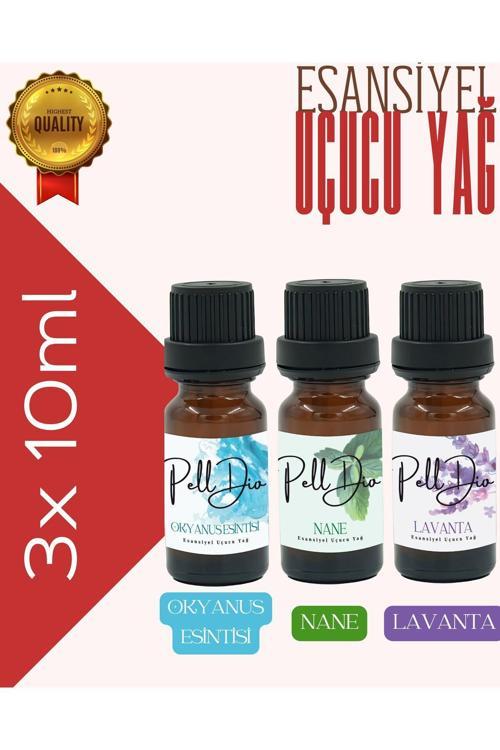 3'Lü Okyanus-Nane-Lavanta Esansiyel Uçucu Yağ, Buhurdanlık Yağı, Difüzör Esansı, Oda Kokusu 10Ml-1